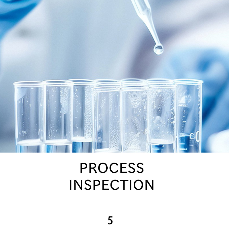PROCESSINSPECTION PROCESSINSPECTION