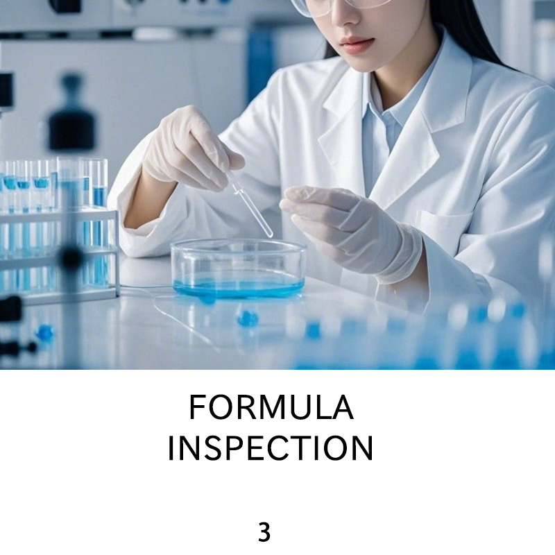 FORMULAINSPECTION FORMULAINSPECTION