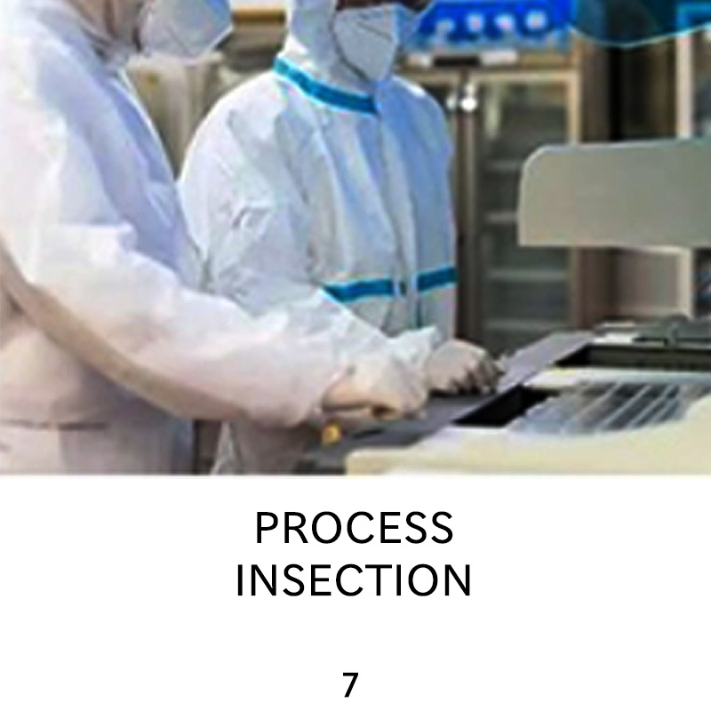 PROCESSINSECTION PROCESSINSECTION