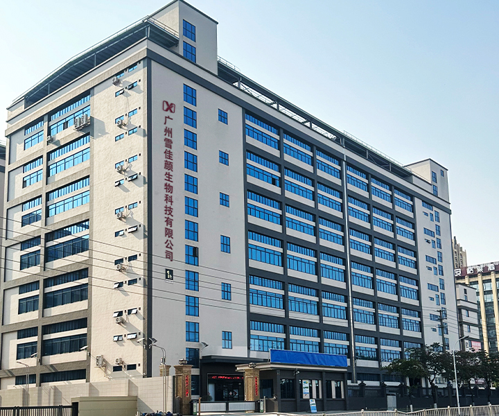 Xuejiayan Establishes New R&amp;amp;amp;amp;amp;amp;D Base in Foshan, Empowering a Beautiful Future with Innovative 